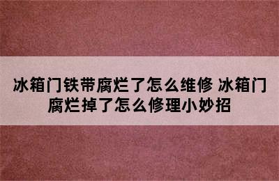 冰箱门铁带腐烂了怎么维修 冰箱门腐烂掉了怎么修理小妙招